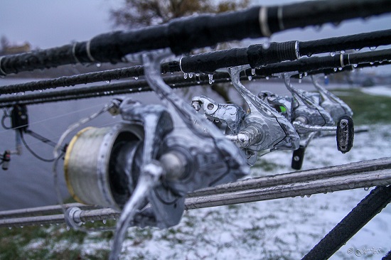 Jurnalul lui gor965: La final de sezon!